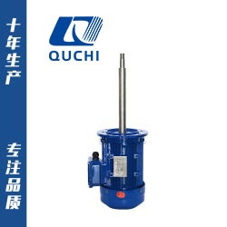 非標定制三相異步長軸電機