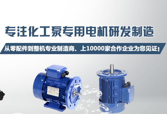 化工泵電機(jī)